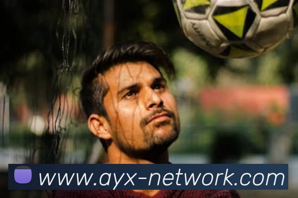 爱游戏平台生态图