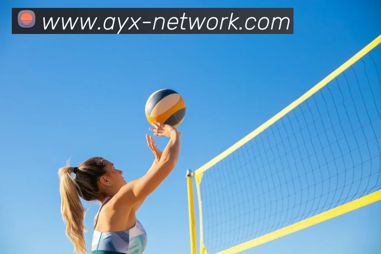 多媒体互动体验